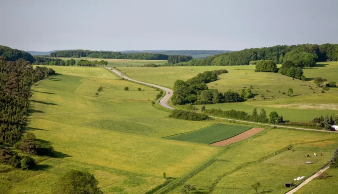mazurska-przestrzen-nieruchomosci-ełk-działki