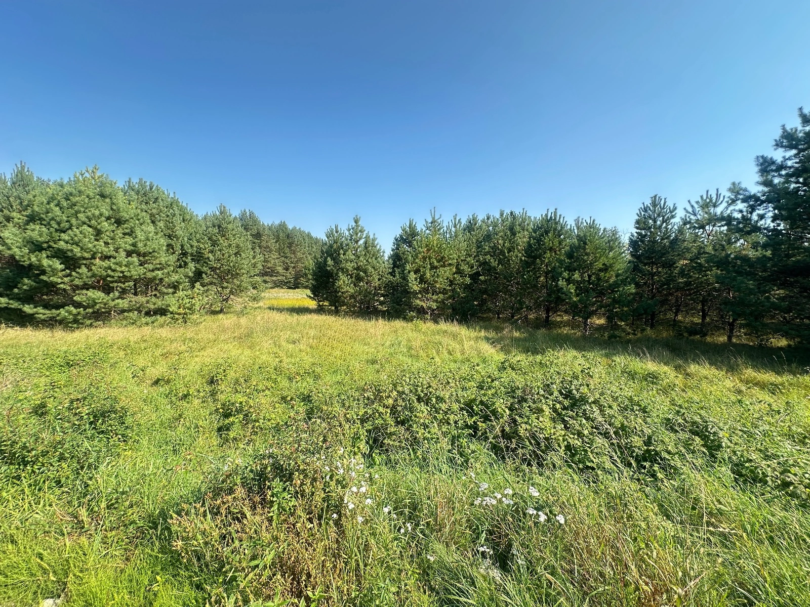dzialka-na-sprzedaz-kanal-augustowski-nieruchomosci-mazurska-przestrzen- (8)