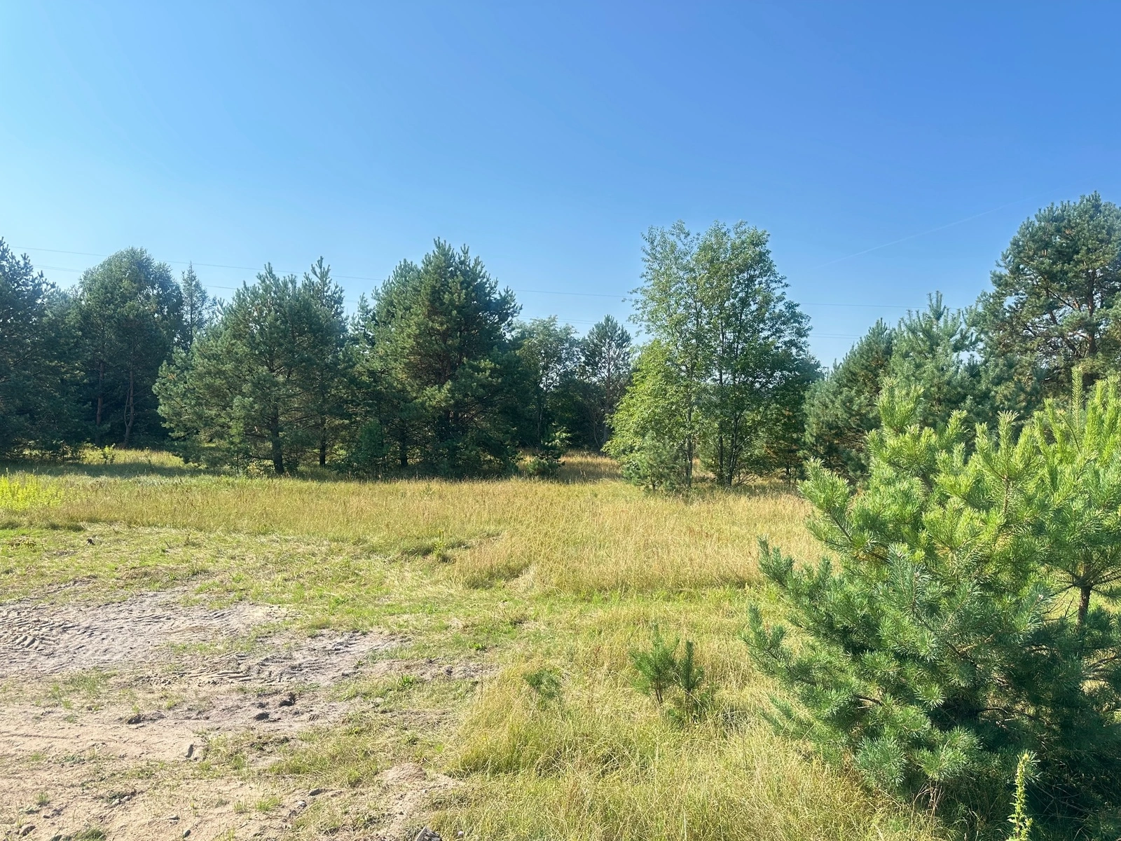 dzialka-na-sprzedaz-kanal-augustowski-nieruchomosci-mazurska-przestrzen- (9)