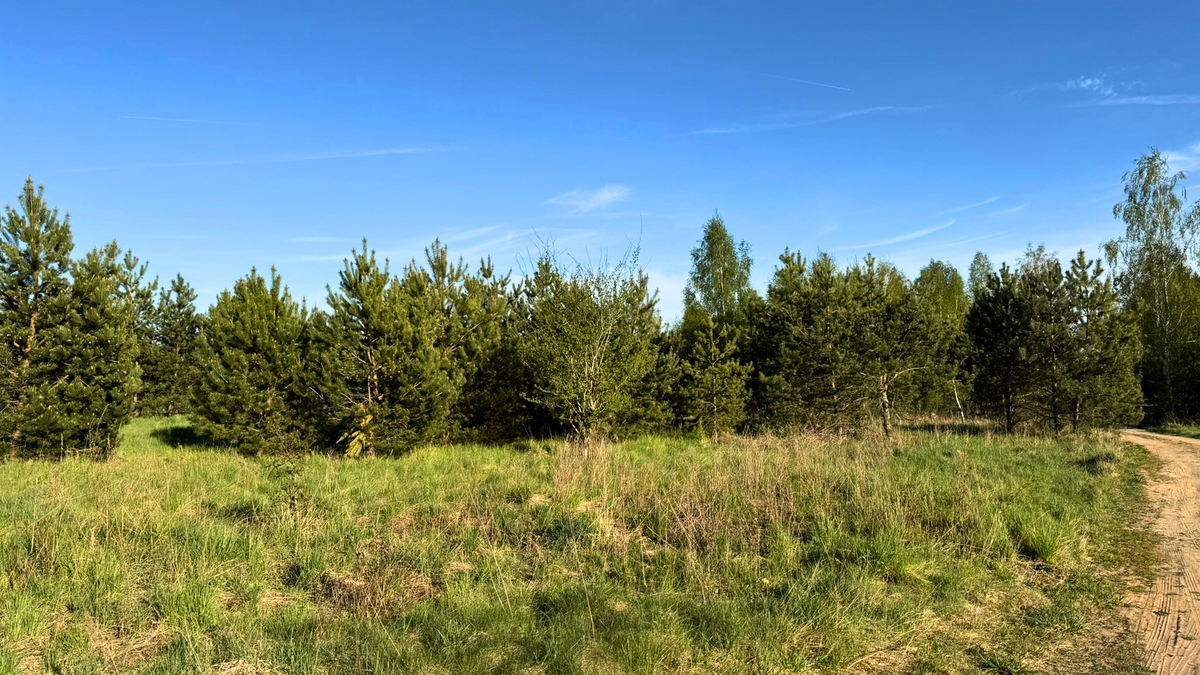 3_mazurska-przestrzen-nieruchomosci-elk-regiel-mazury-dzialka-budowlana- (3)