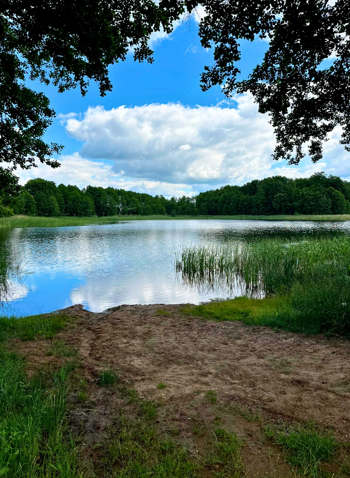 mazurska-przestrzen-nieruchomosci-elk-dzialka-sprzedaz-nad-jeziorem-linia-brzegowa-mazury-ełk- (5)