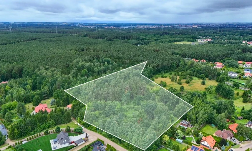 Działka 2,285 ha / Las / Mrozy k.Ełku / Mazury