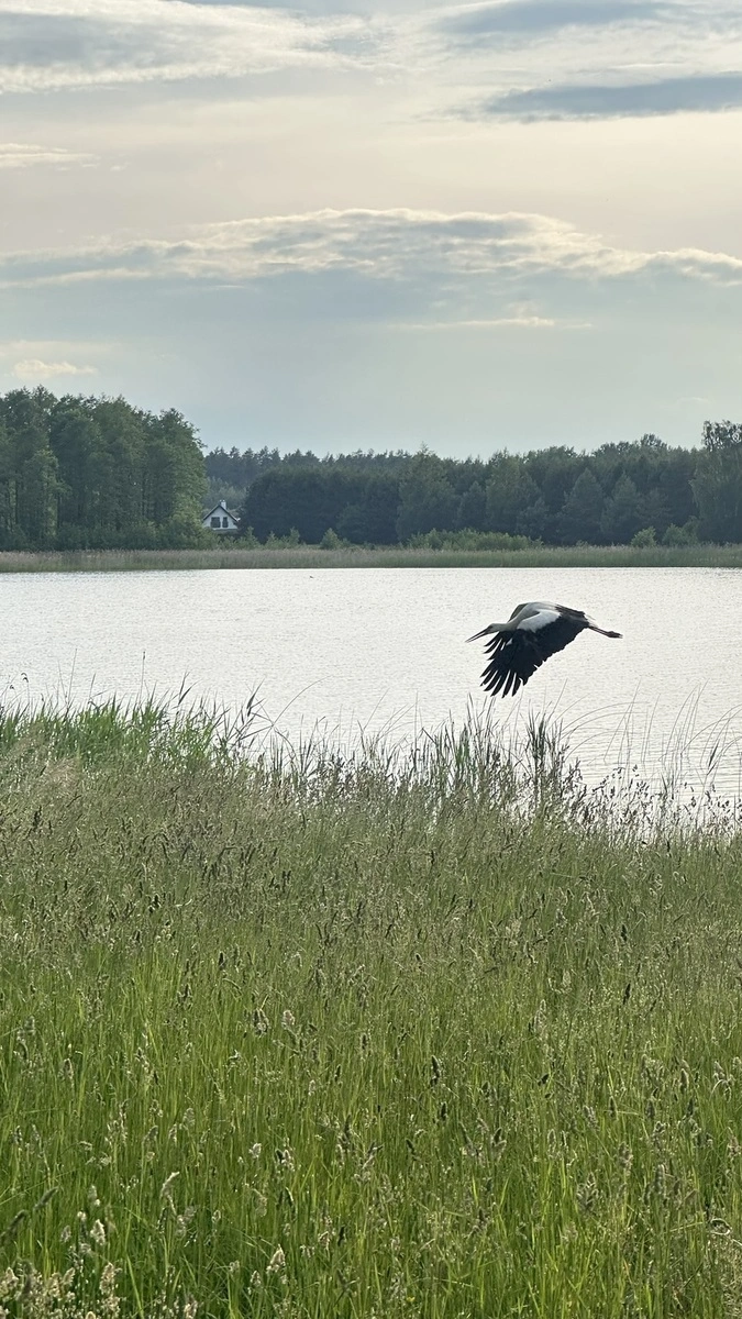 1_MAZURSKA-PRZESTRZEN-DZIALKA-SPRZEDAZ-REGIEL-ełk-mazury- (11)