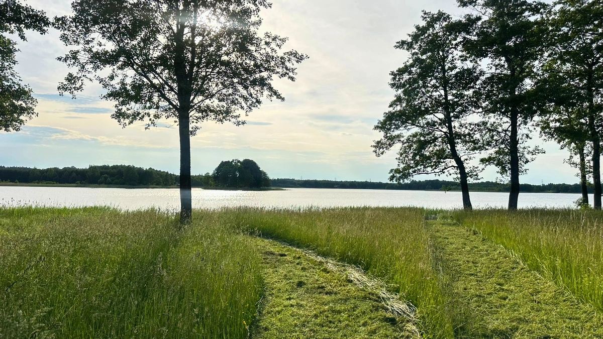 1_MAZURSKA-PRZESTRZEN-DZIALKA-SPRZEDAZ-REGIEL-ełk-mazury- (4)