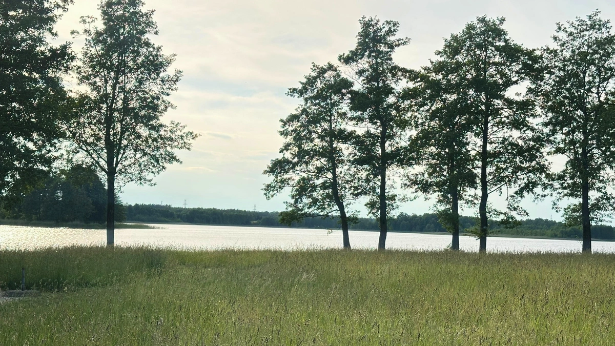 1_MAZURSKA-PRZESTRZEN-DZIALKA-SPRZEDAZ-REGIEL-ełk-mazury- (5)