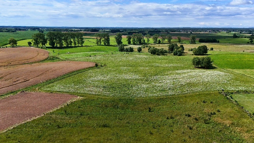 6_mazurska-prestrzen-nieruchomosci-elk-dzialka-sprzedaz-mazury-kaleczyny- (6)
