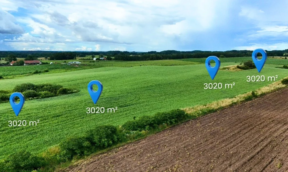 Działki budowlane 3020 m²/Krzywe/Mazury/Jezioro