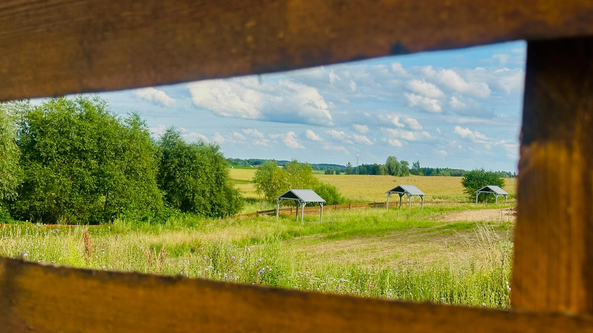 mazurska-przestrzen-biuro-nieruchomosci-dom-na-sprzedaz-mazury-długie-ełk- (11)