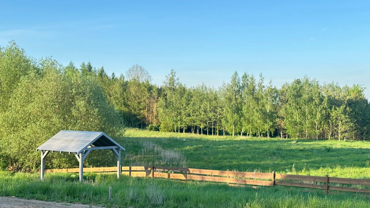 mazurska-przestrzen-biuro-nieruchomosci-dom-na-sprzedaz-mazury-długie-ełk- (15)